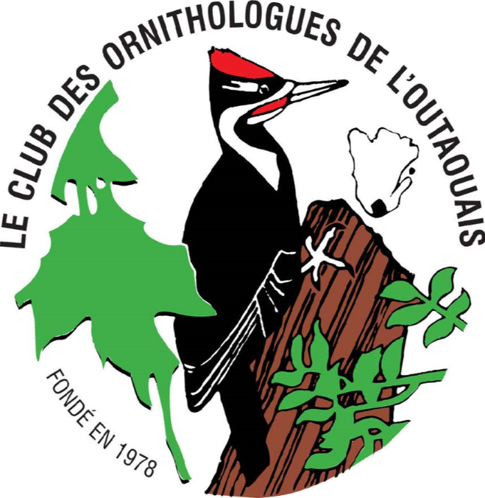 Logo Club des ornithologues de l'Outaouais