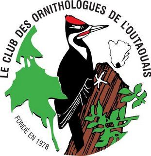 Logo Club des ornithologues de l'Outaouais