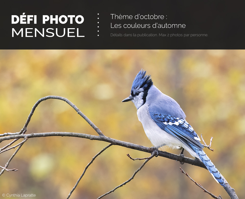 Défi photo octobre 2025 - Les couleurs d’automne
