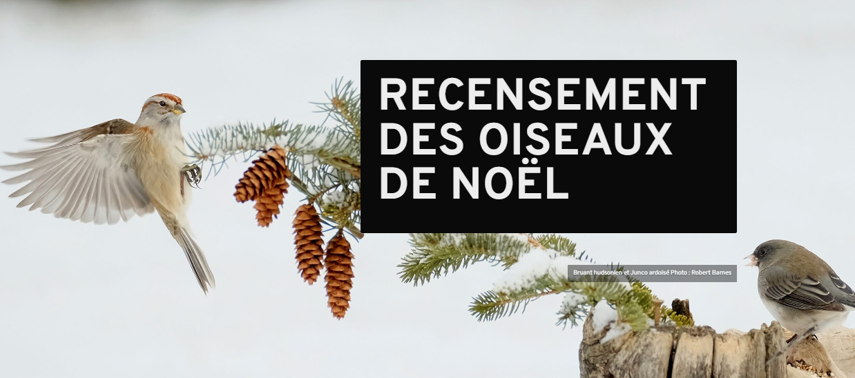 Articles - Image d'intro