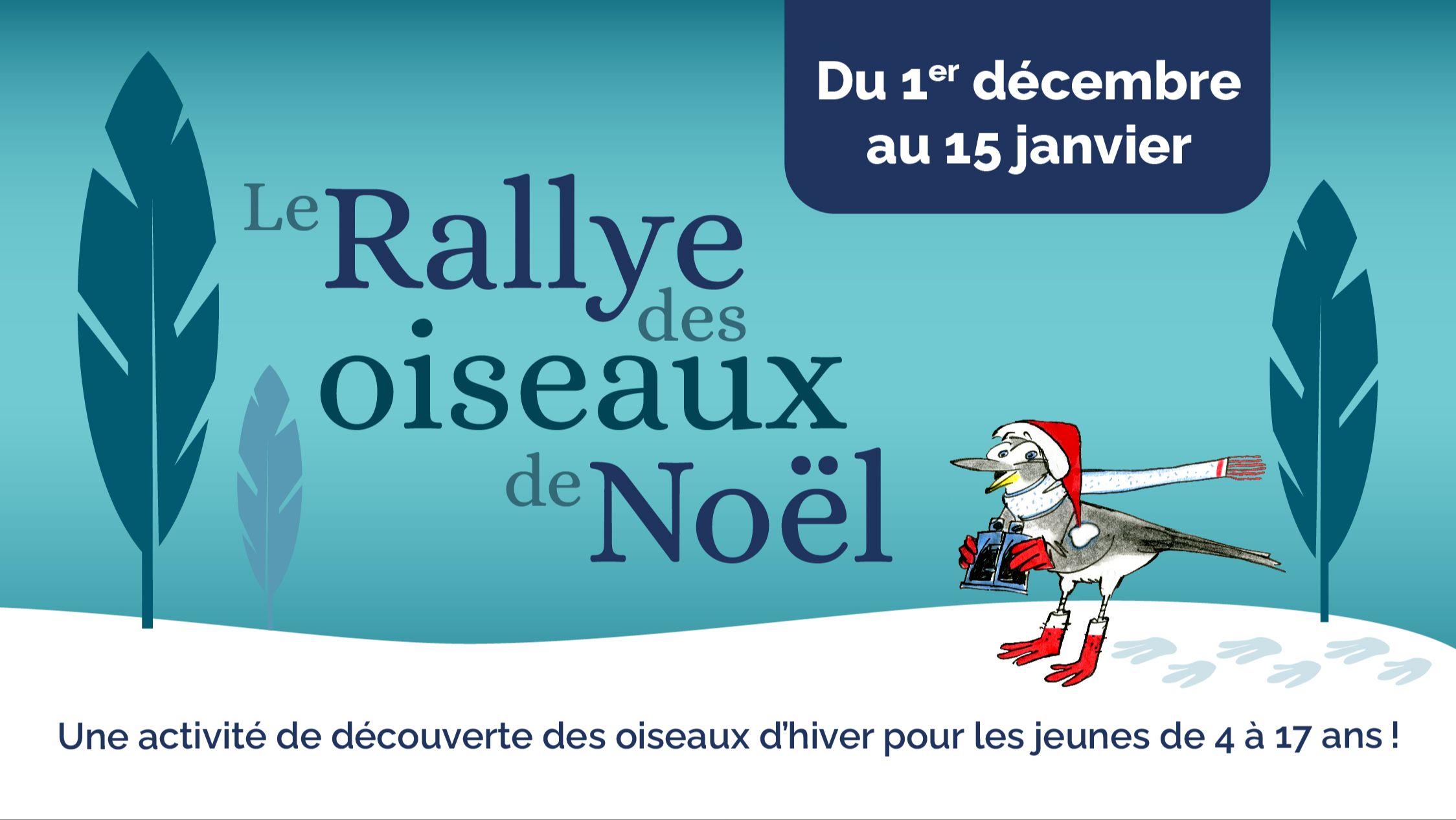 Articles - Image d'intro