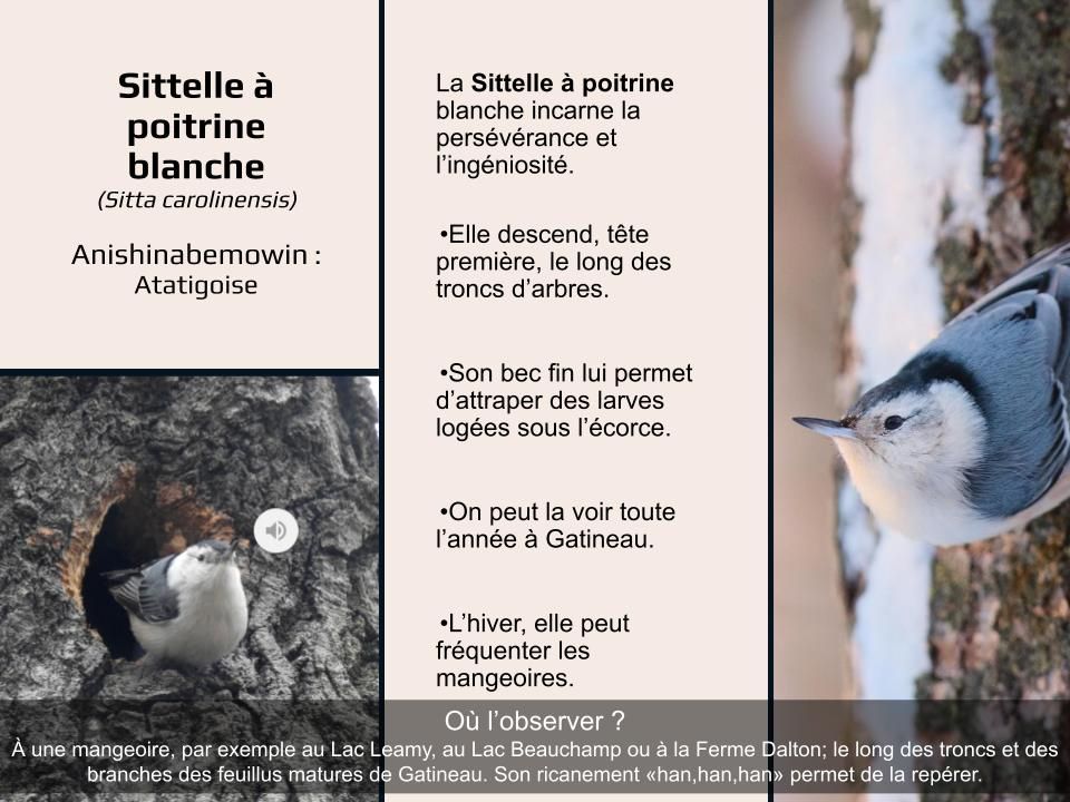 Articles - Vignette