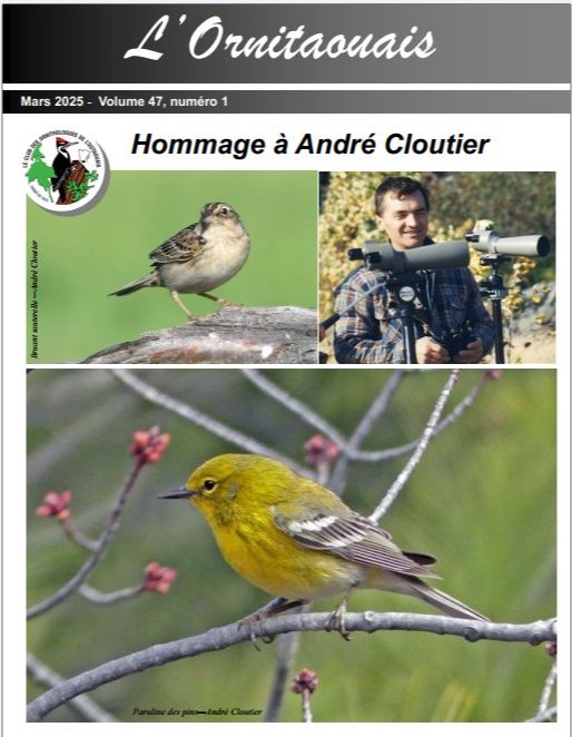 Articles - Vignette