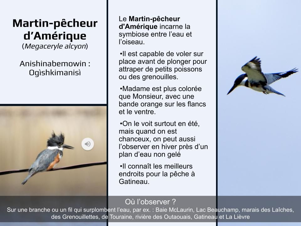 Articles - Vignette