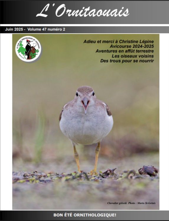 Articles - Vignette