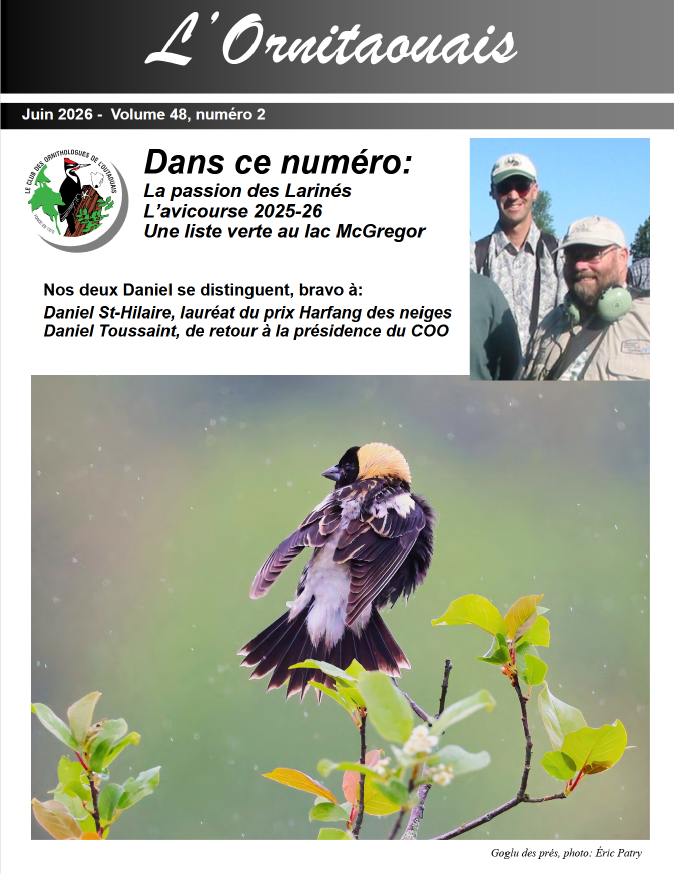 Articles - Vignette