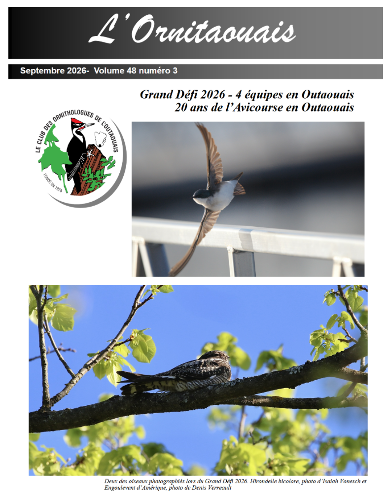 Articles - Vignette
