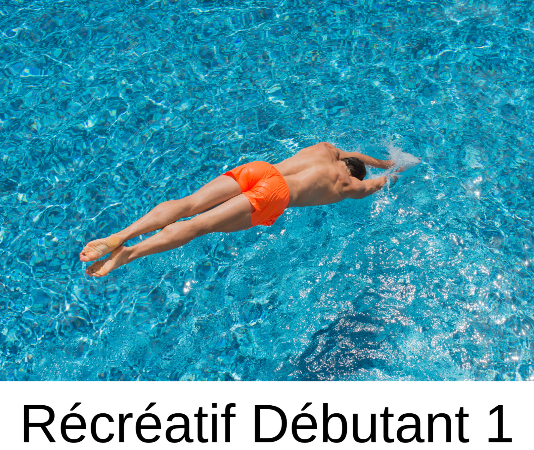 Printemps 2025- Débutant niveau 1 dimanche 12 h 00 à 13 h 00 (8 semaines) - 120 $