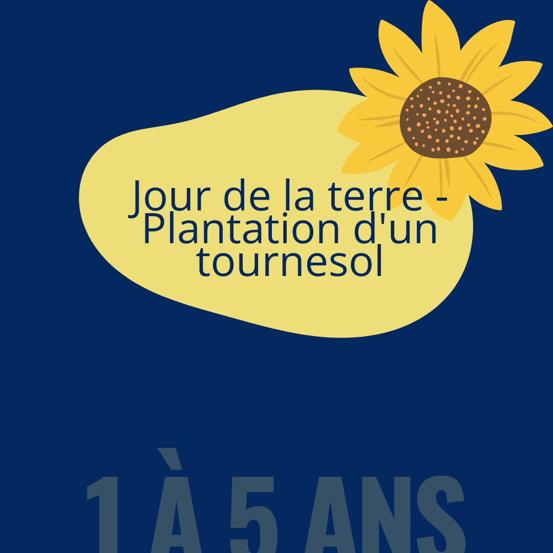 Jour de la terre - Plantation d'un tournesol