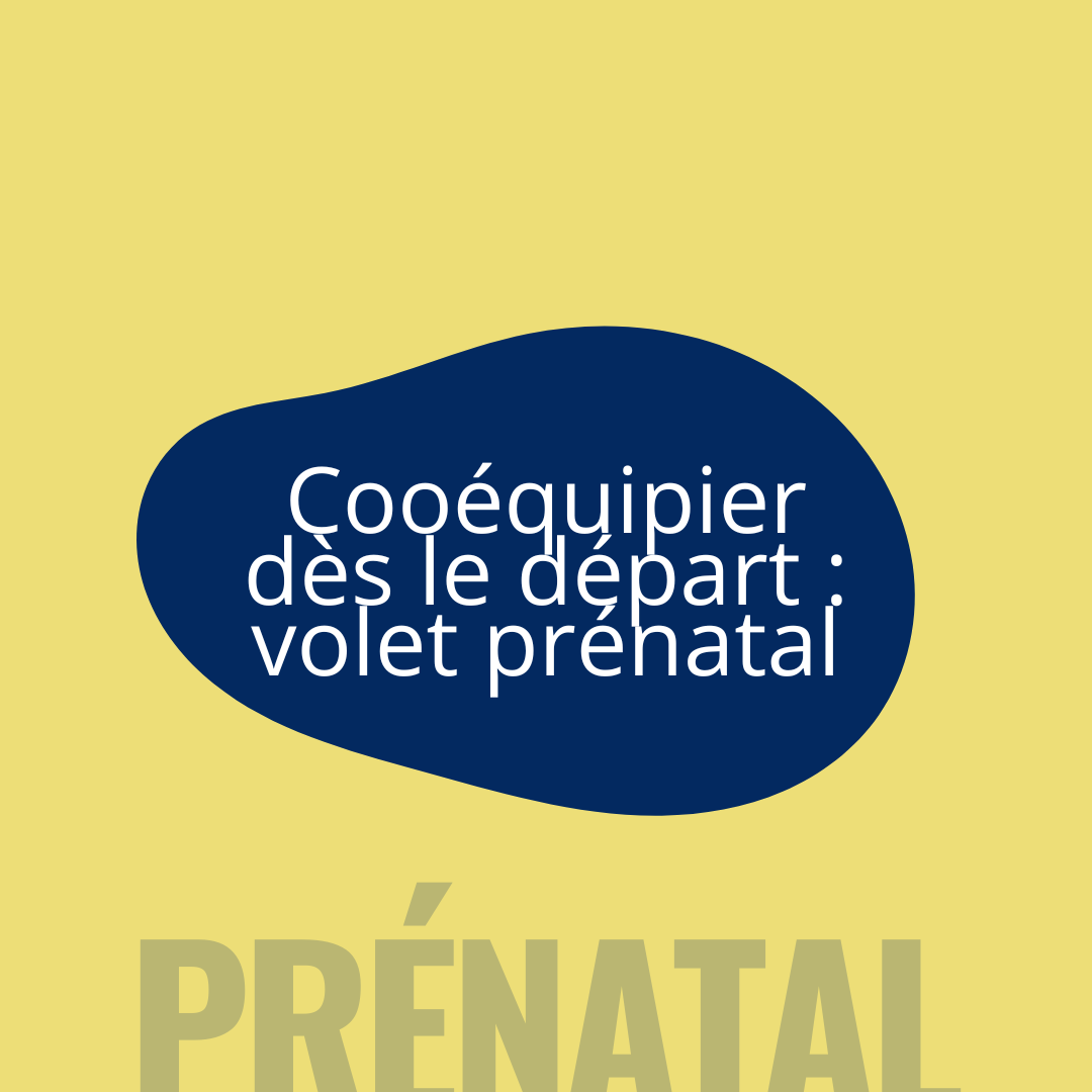 Coéquipier dès le départ : volet prénatal