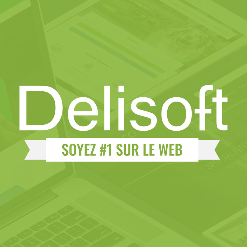 Delisoft