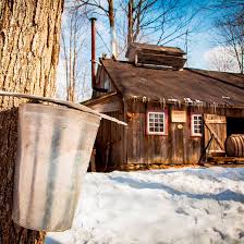 Cabane à sucre