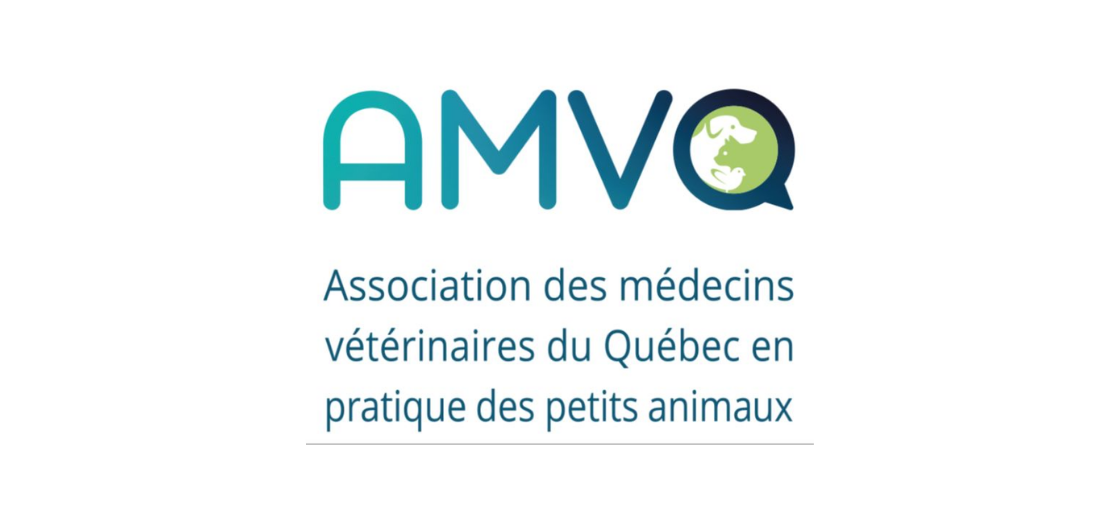 Articles - Vignette