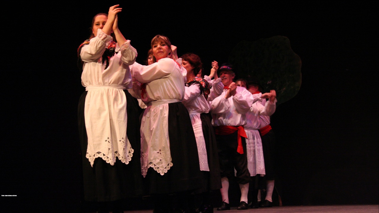 Spectacle annuel, 2007