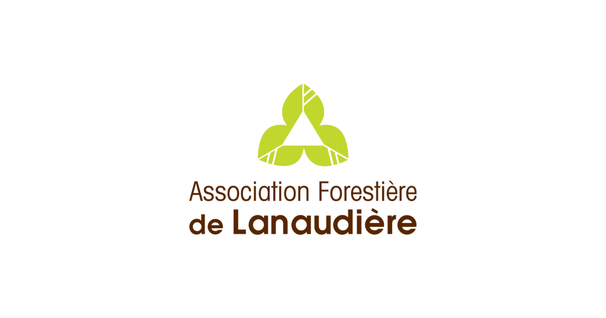 Tilleul d'Amérique  Association forestière du sud du Québec