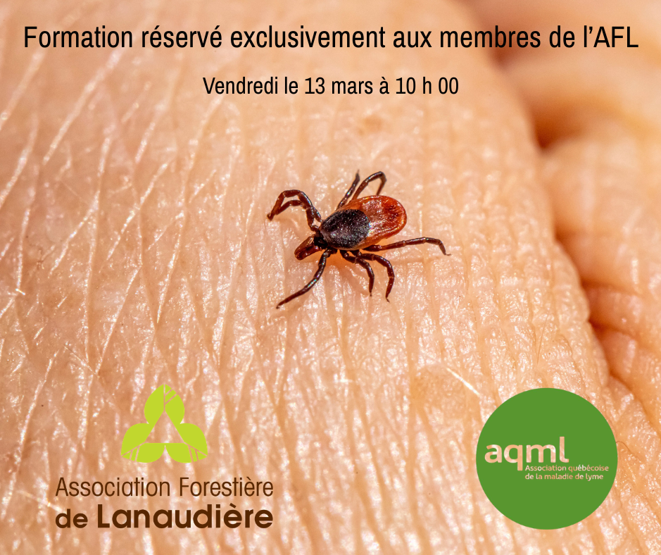 Formation sur la maladie de Lyme avec l'AQML