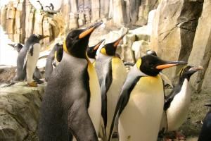 Biodôme Montréal