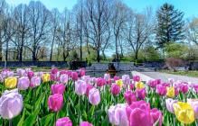 E-25 Jardin botanique de Montréal