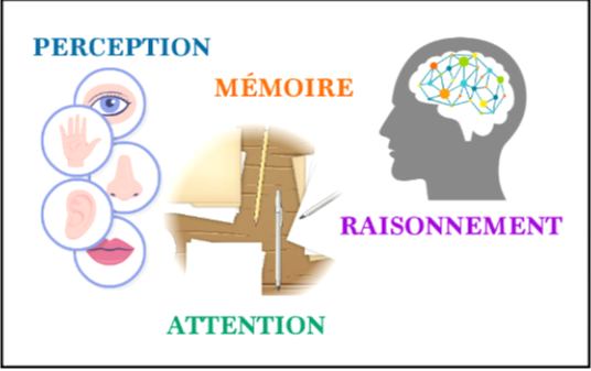 Faites-vous confiance à votre cerveau?