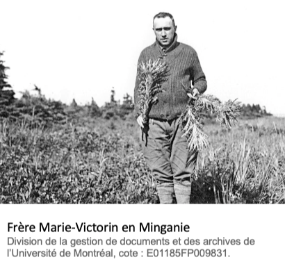 LES COMBATS DU FRÈRE MARIE-VICTORIN