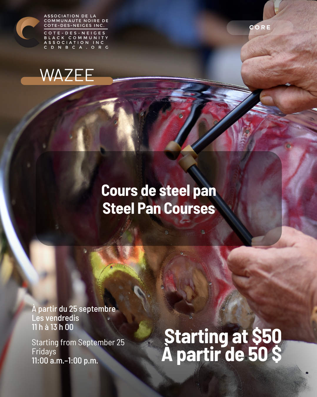 Steel Pan Workshop – for Seniors