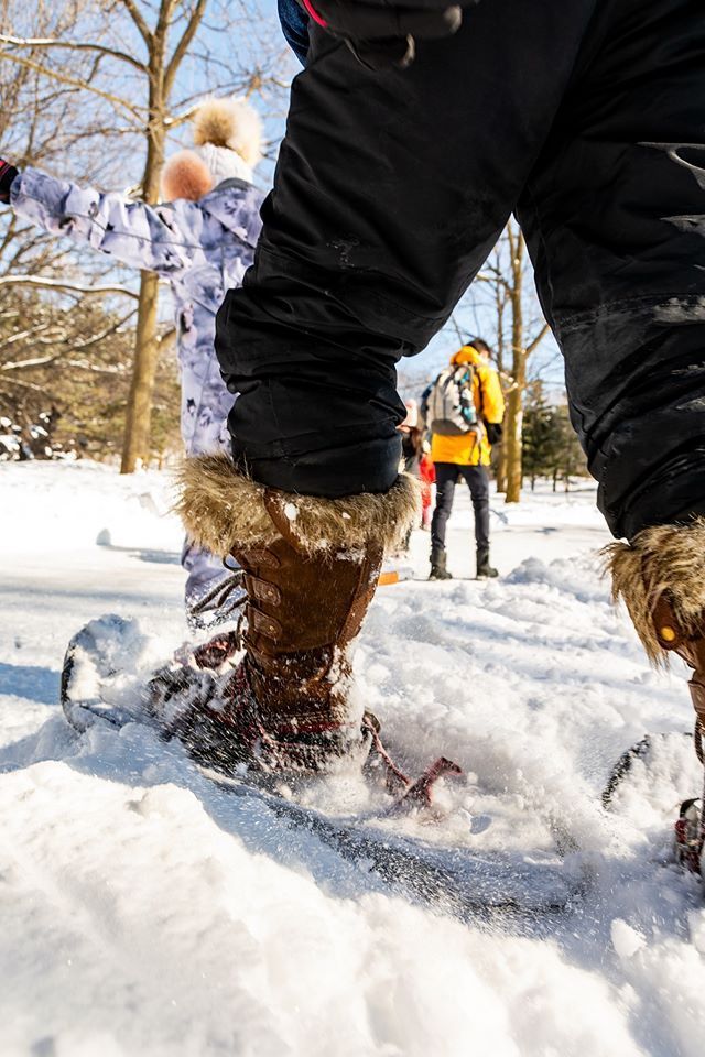 Self-guided cross-country skiing and snowshoeing
