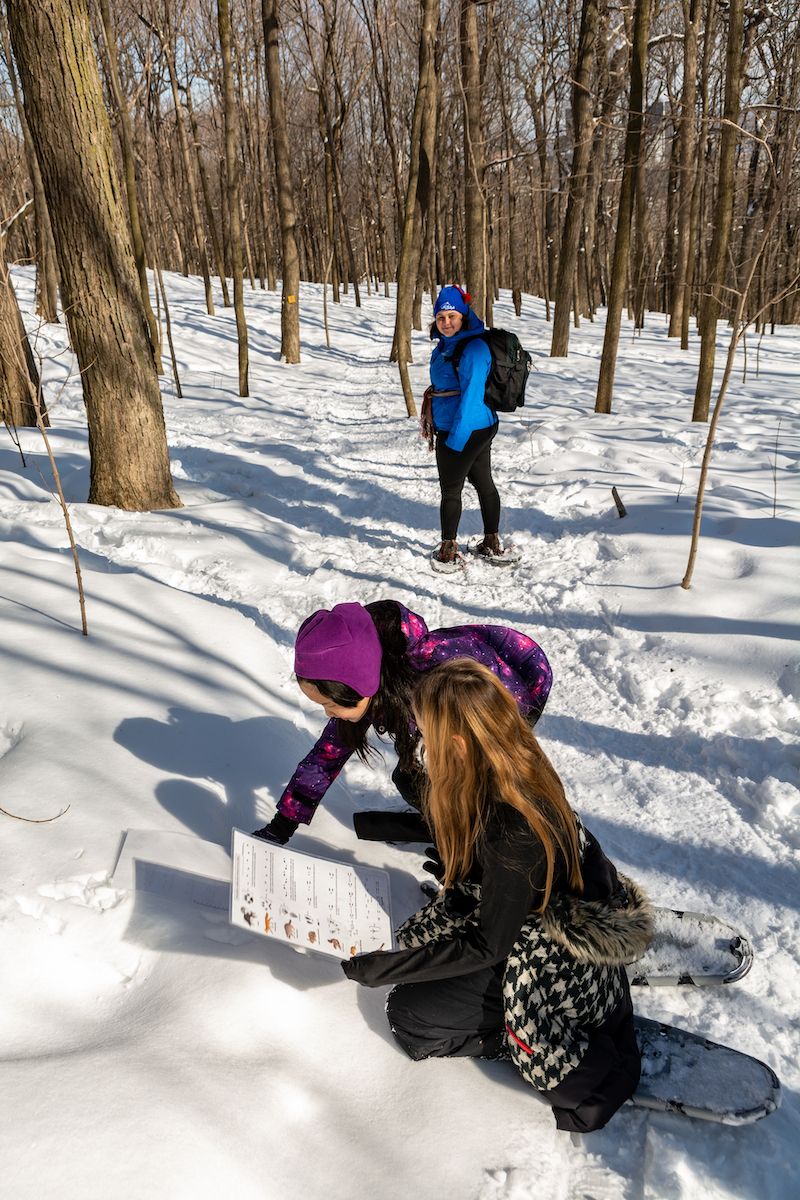 Snowshoe Excursion: A Critter in the Woods