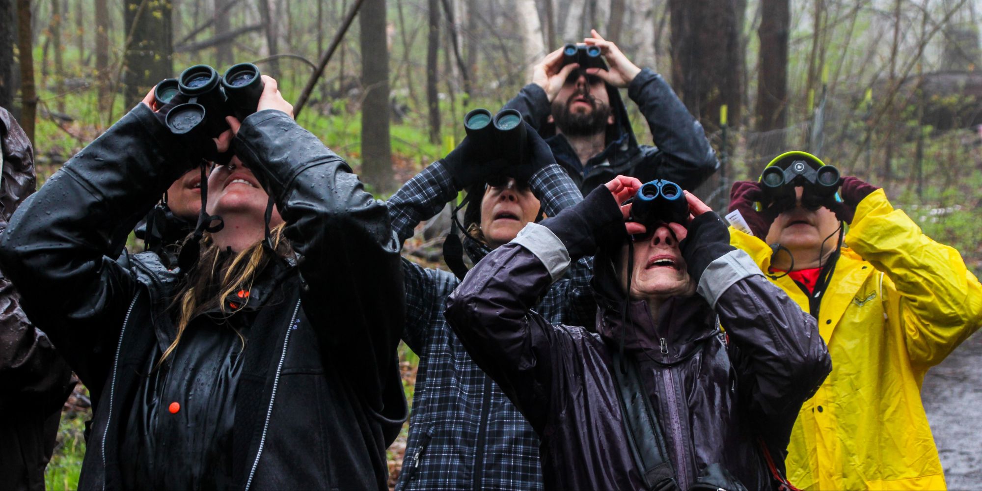 Bird Inventory: Global Big Day