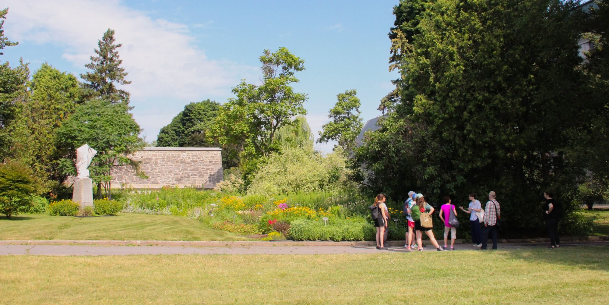 Exploring the Therapeutic Value of Mount Royal