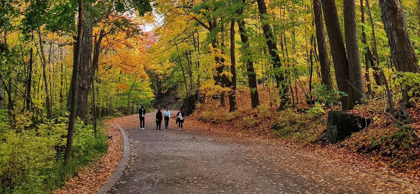 L'héritage de Frederick Law Olmsted : Une exploration de la valeur thérapeutique de la montagne