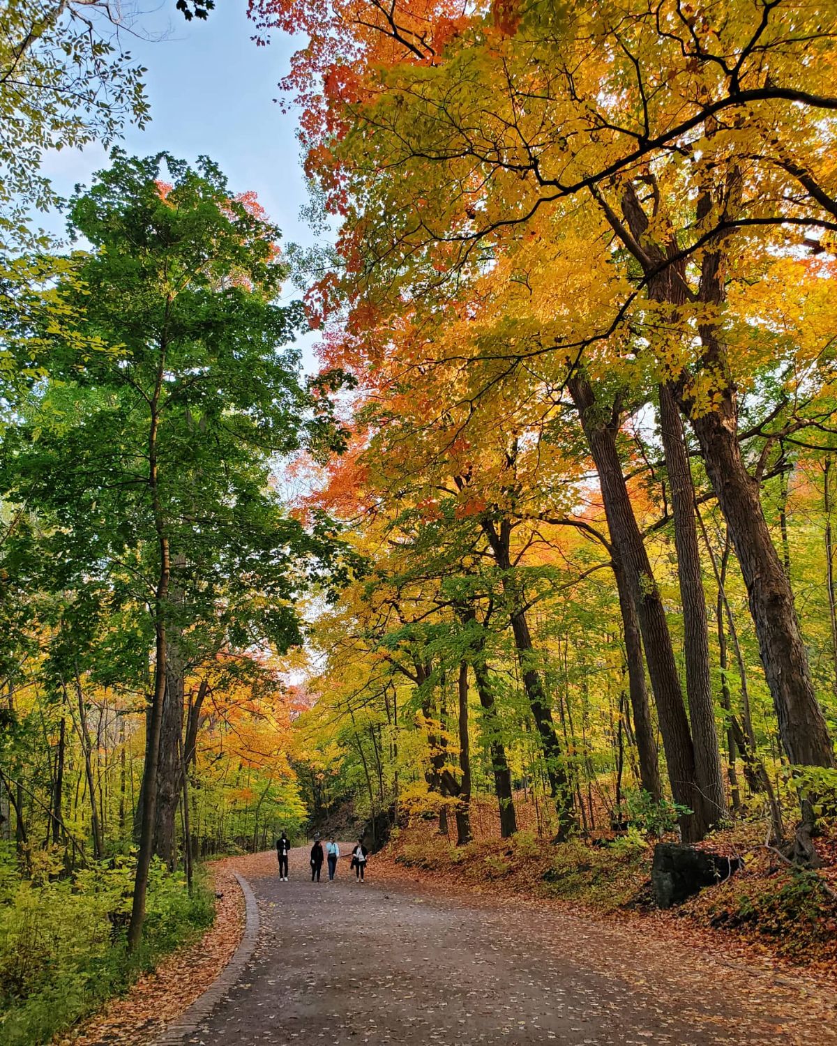 Visite sur mesure du mont Royal