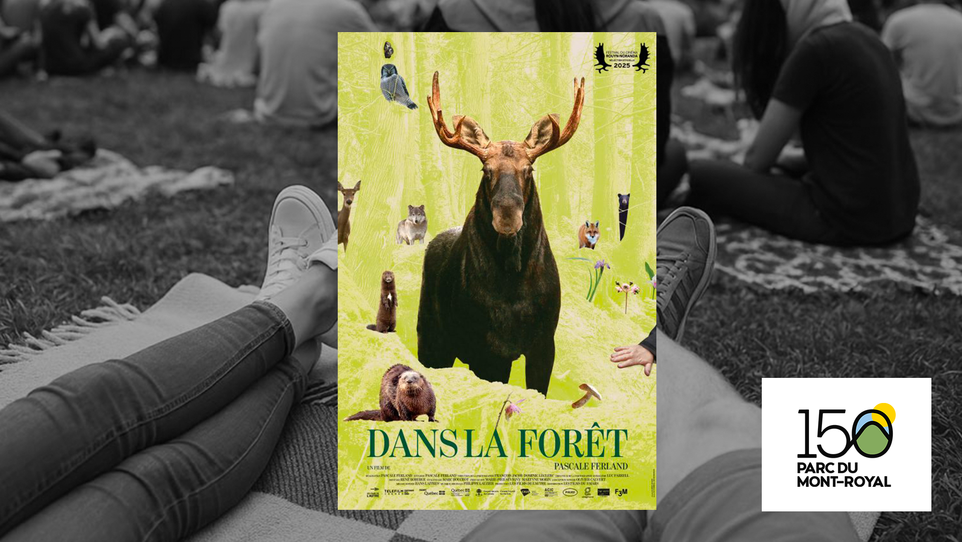 Outdoor cinema: In the Forest by Pascale Ferland