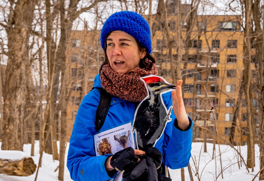 Les oiseaux, c’est chouette!