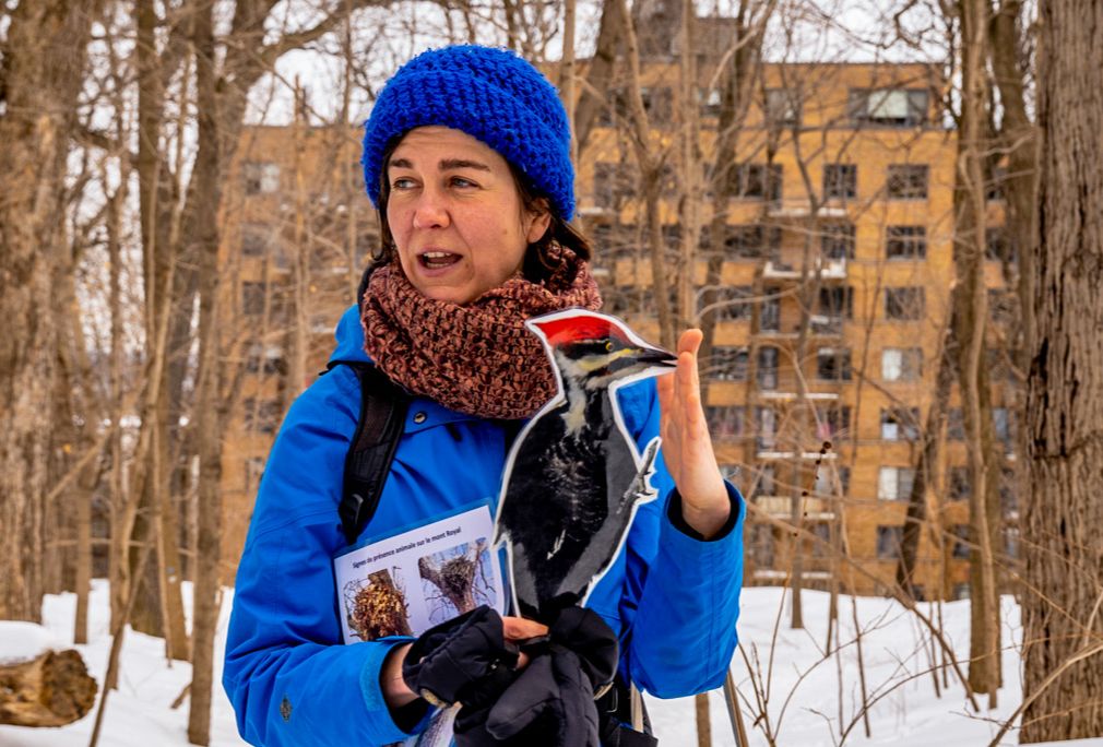 Bird Watching, It’s a Hoot!