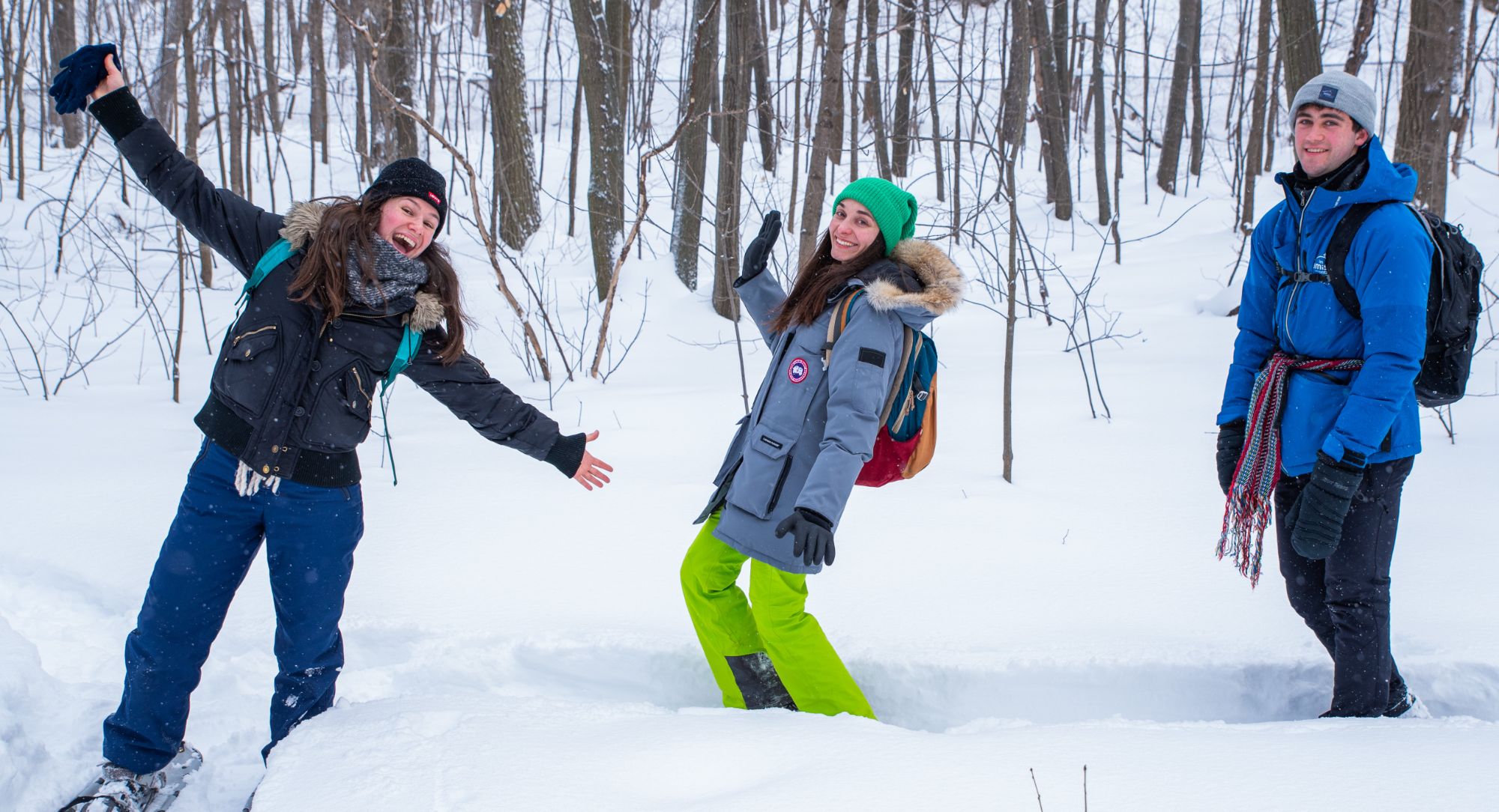 Une montagne enneigée