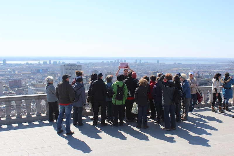 Randonnée guidée : Les trois sommets du mont Royal
