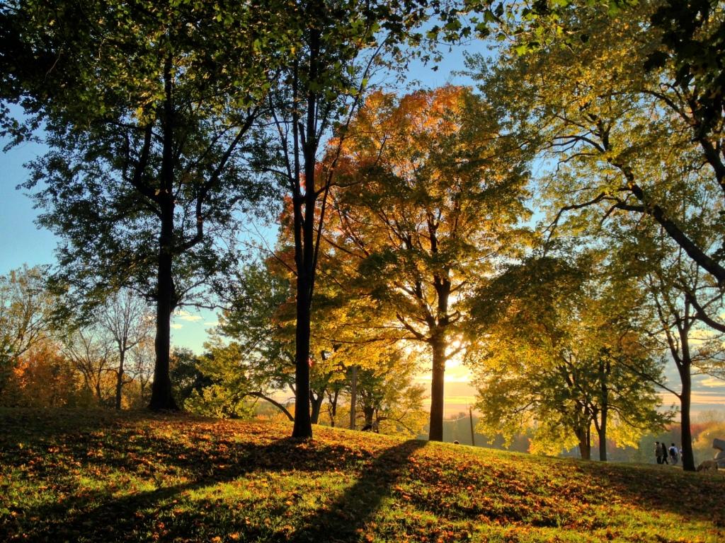 Balade photo : couleurs d’automne