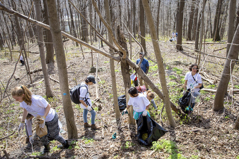 Mount Royal Clean-Up 2019: Treasure or Trash?