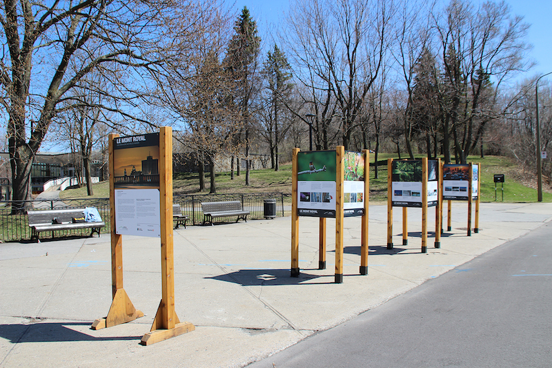 Mount Royal: The Mountain of a Thousand Faces