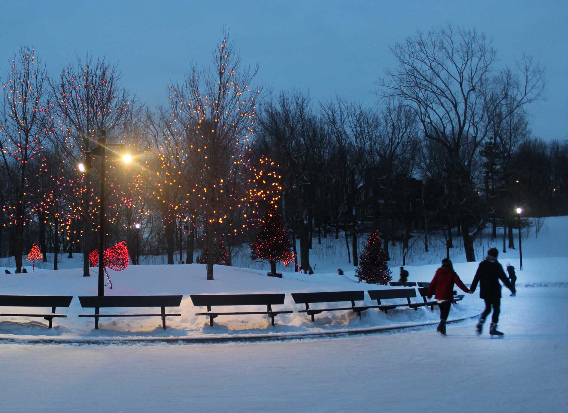 Soirées musicales à la patinoire