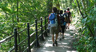 Randonnée guidée : Le sommet du mont Royal