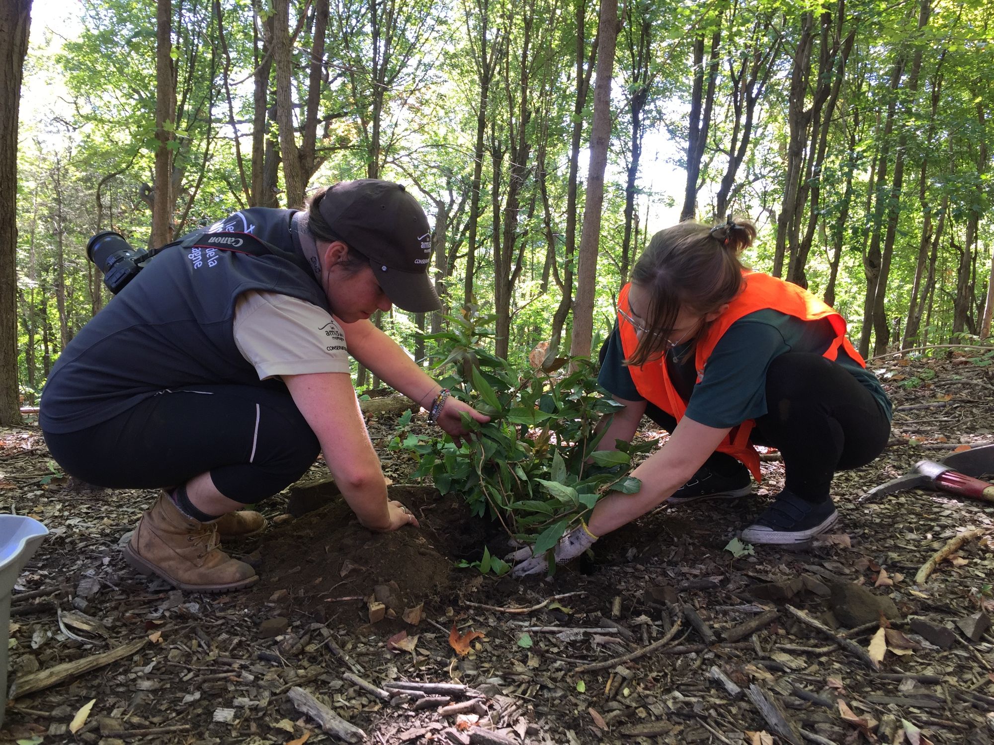 Volunteering: Environmental Stewardship
