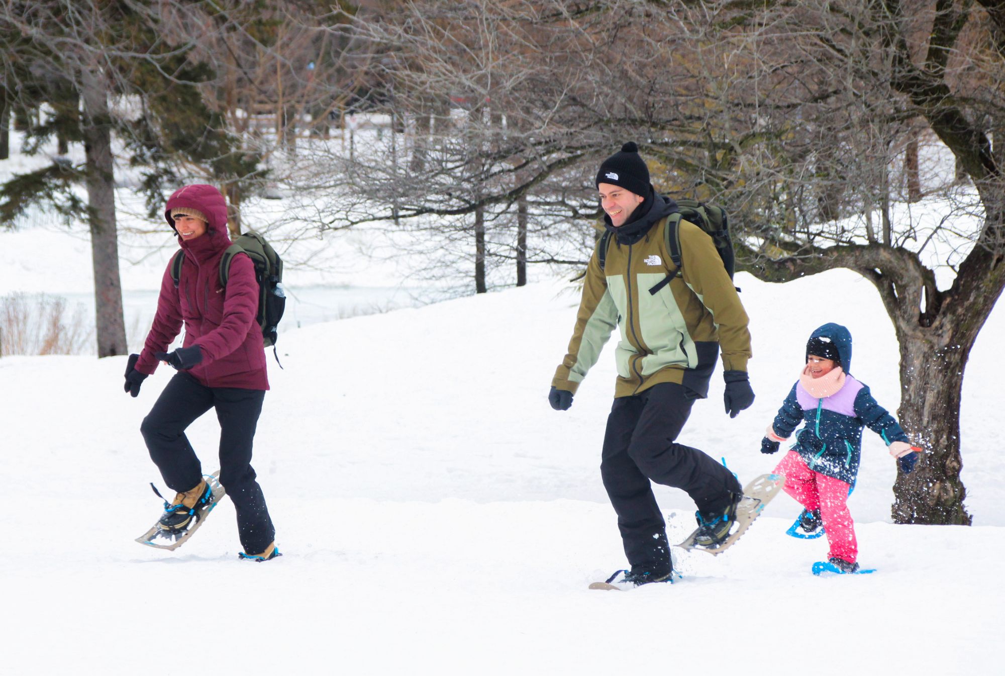 Une histoire de crottes