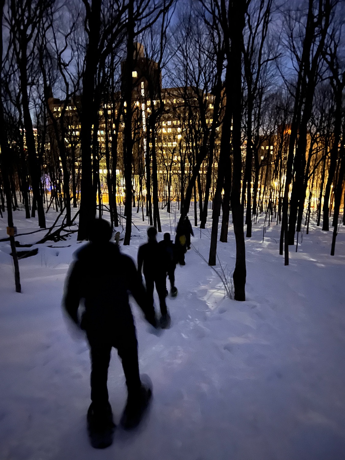 Snowshoe Tour : By the Glow of the City Lights