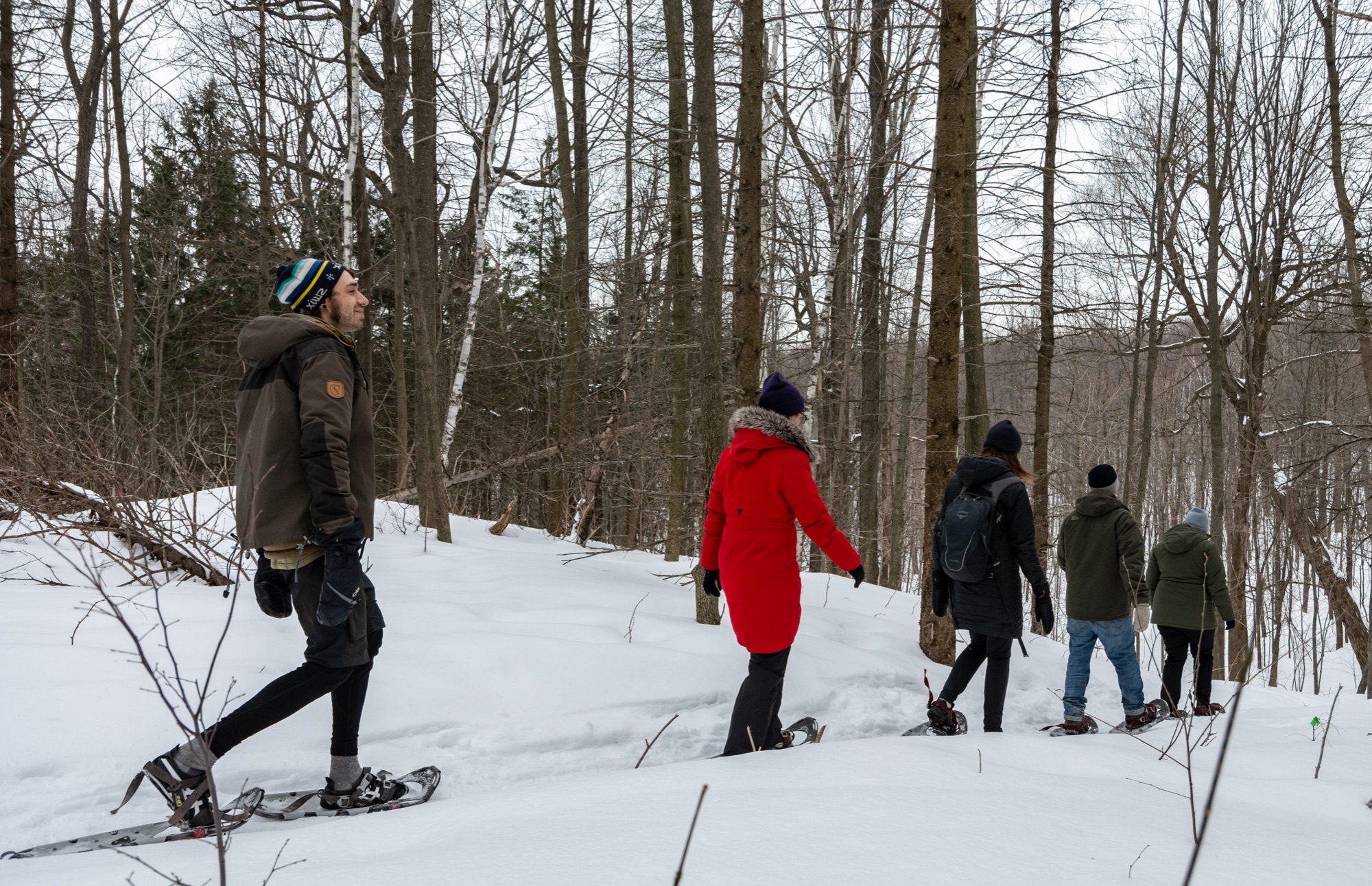 Daytime snowshoe excursion – The Joy of Winter