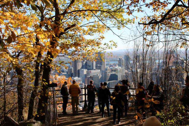 Three Summits of Mount Royal Discovery Walk
