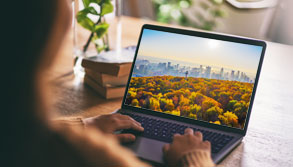 Webinaires avec l’équipe de conservation
