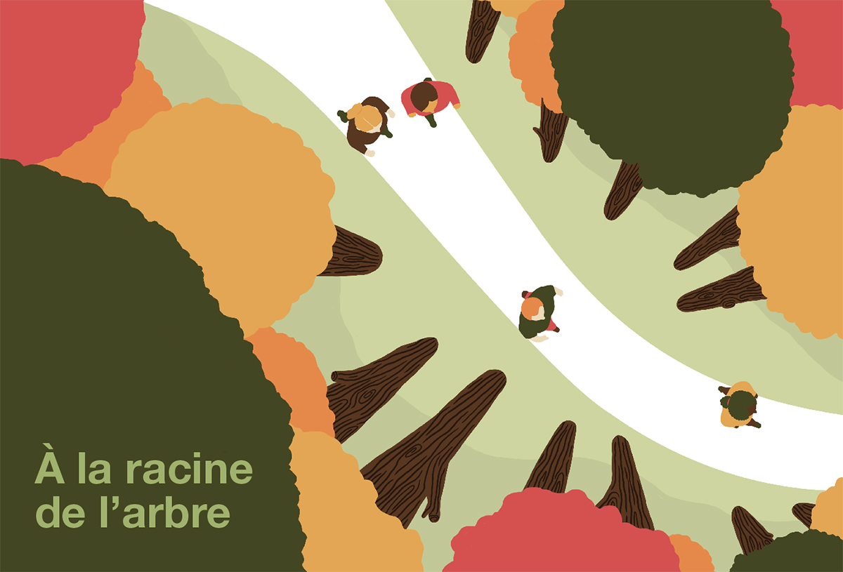 À la racine de l’arbre