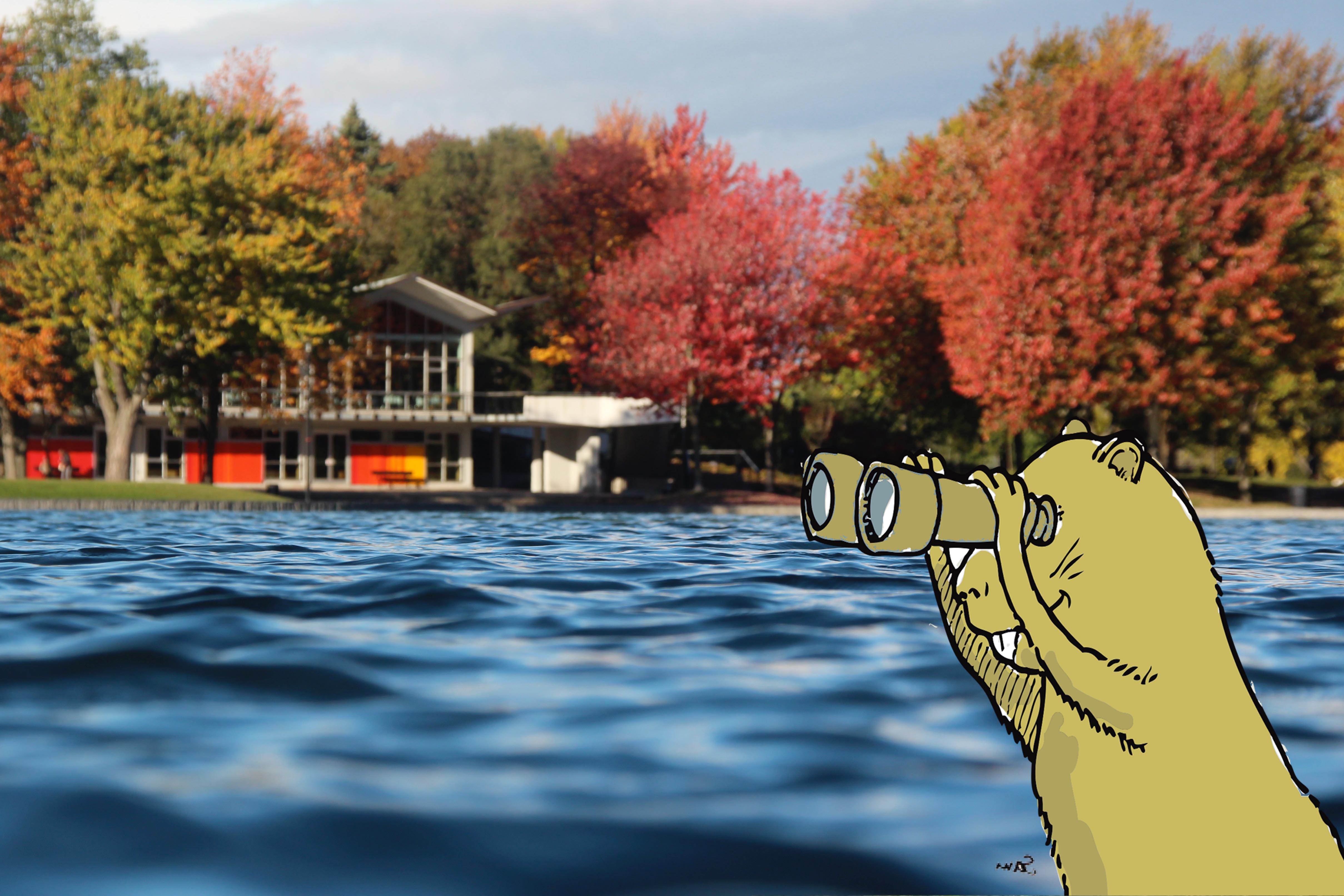 Rally: The Mysteries of Beaver Lake