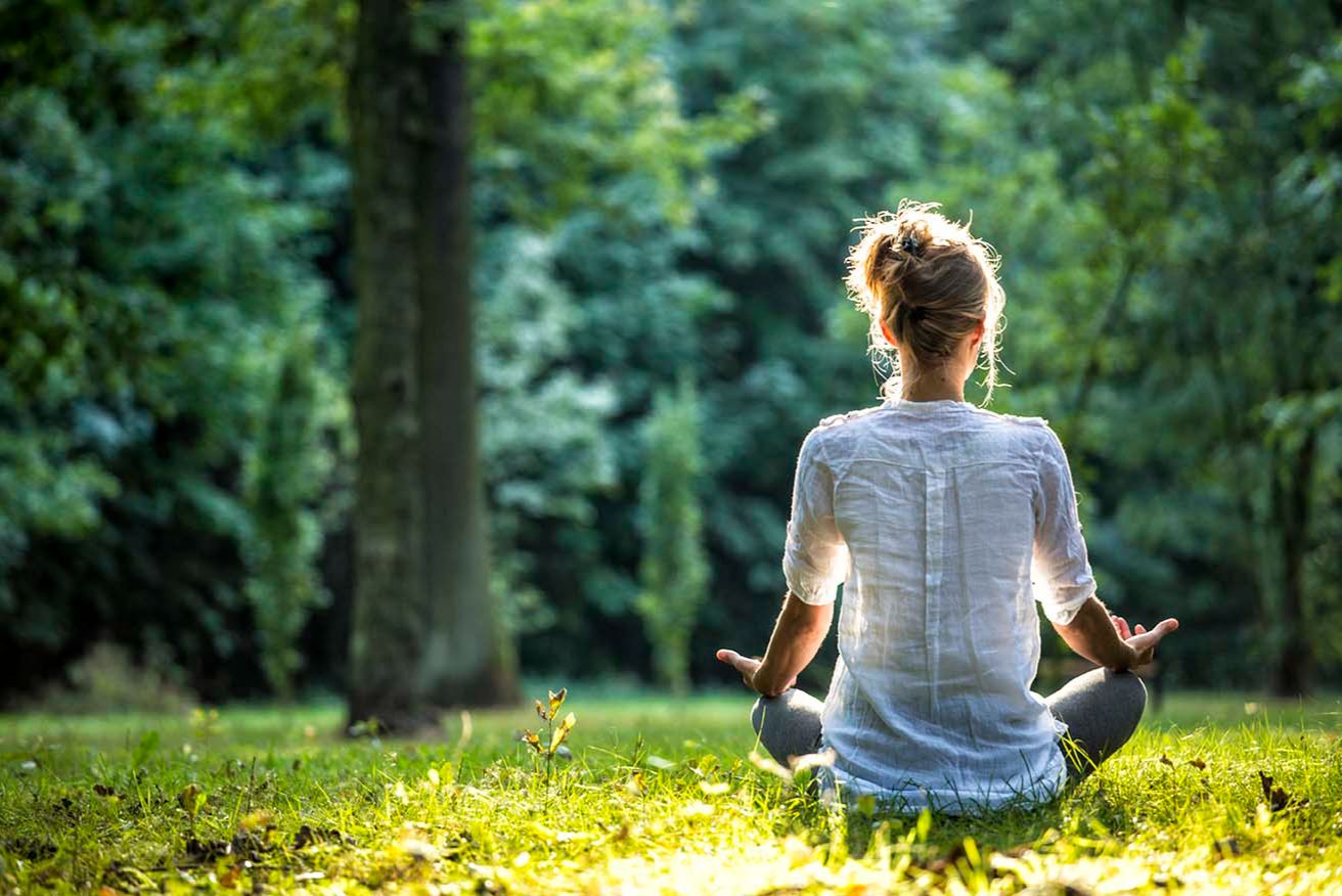 Shinrin Yoku Session: Forest Bathing on Mount Royal